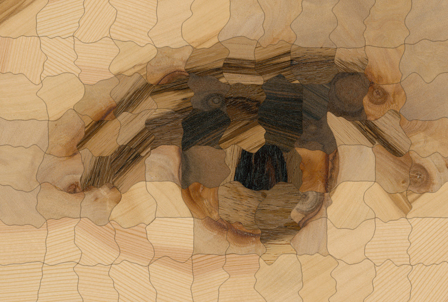 Computational Parquetry: Fabricated Style Transfer with Wood Pixels